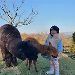 Il Vecchio Mandorlo *