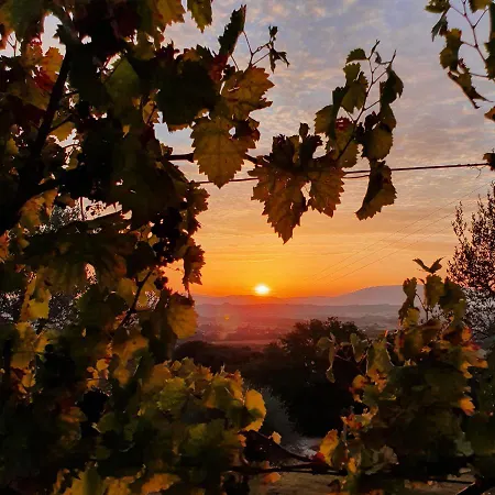 Farm stay Il Vecchio Mandorlo Perugia