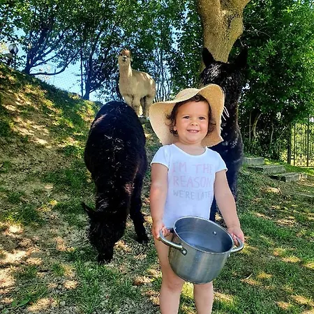 Il Vecchio Mandorlo Farm stay