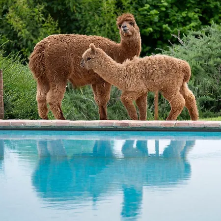 Farm stay Il Vecchio Mandorlo