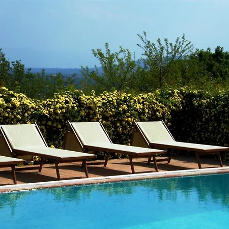 Il Vecchio Mandorlo *