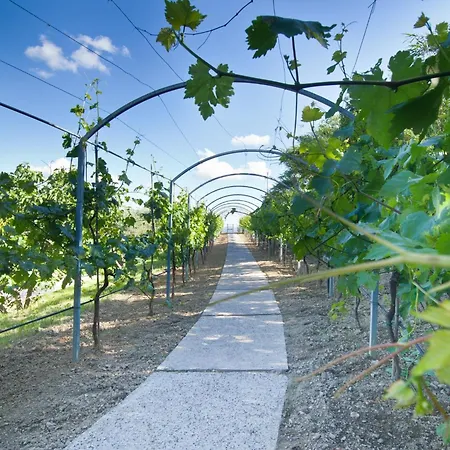 Il Vecchio Mandorlo Farma Perugia