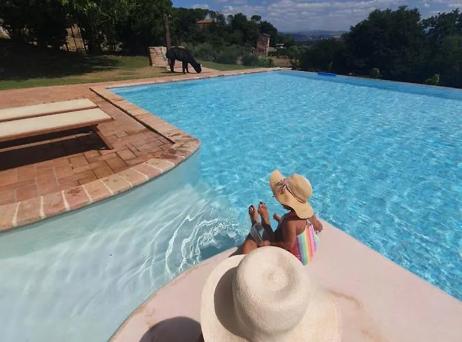 Il Vecchio Mandorlo Farma