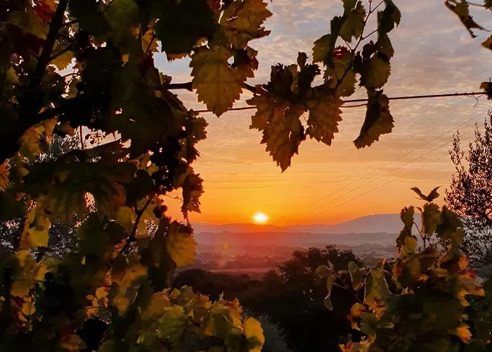 Lantgård Il Vecchio Mandorlo Perugia