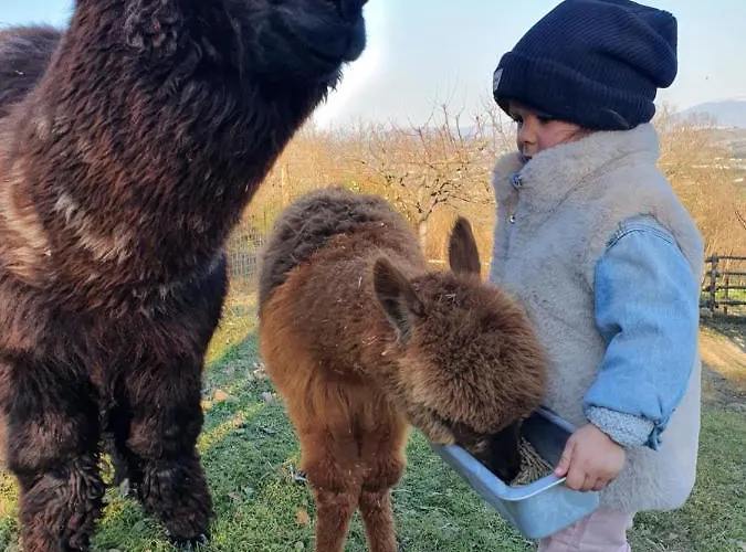 Il Vecchio Mandorlo Perugia