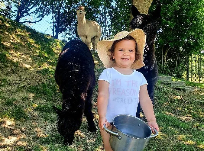 Il Vecchio Mandorlo Gospodarstwo agroturystyczne