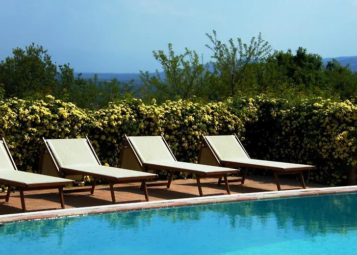 Il Vecchio Mandorlo *