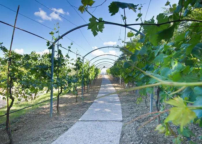 Il Vecchio Mandorlo Farma Perugia