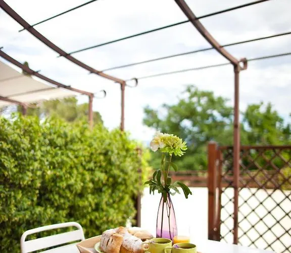 Il Vecchio Mandorlo Farma