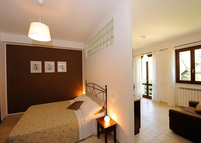 Il Vecchio Mandorlo *